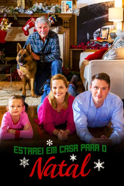 Estarei em Casa para o Natal (2016)
