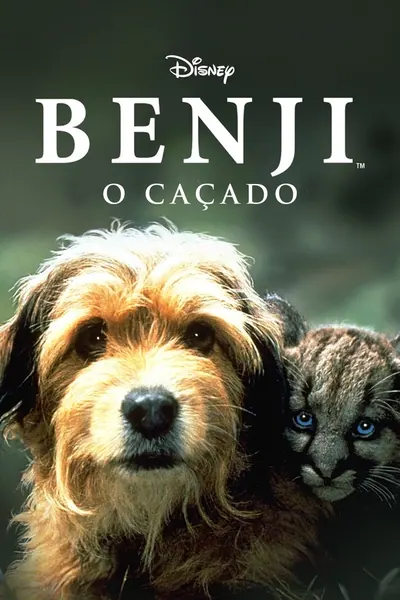 Pôster de Benji - Um Cão Desafia a Selva (1987)