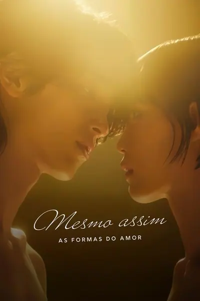 Mesmo Assim As Formas do Amor