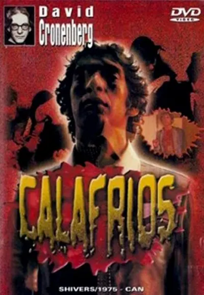 Pôster de Calafrios