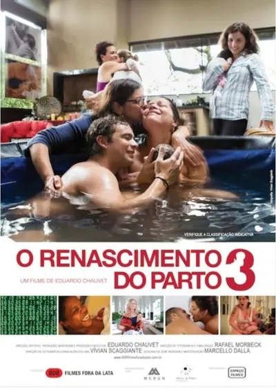 O Renascimento do Parto