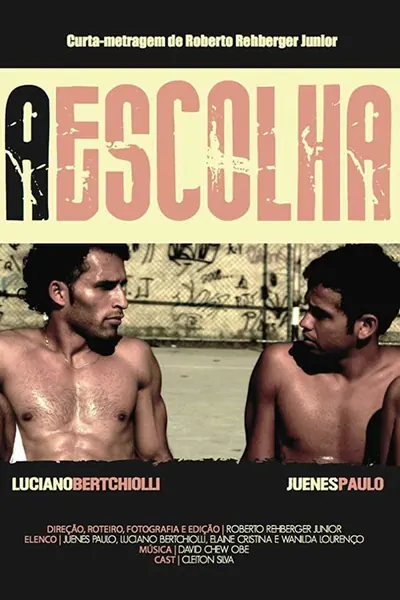 Pôster de A escolha (2011)