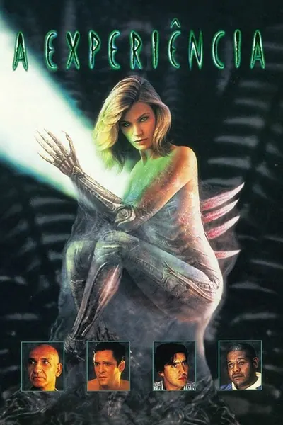 A Experiência (1995)