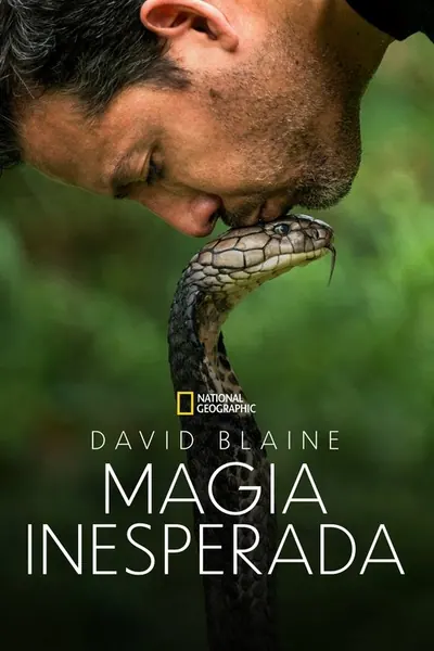 Pôster da série David Blaine Magia Inesperada