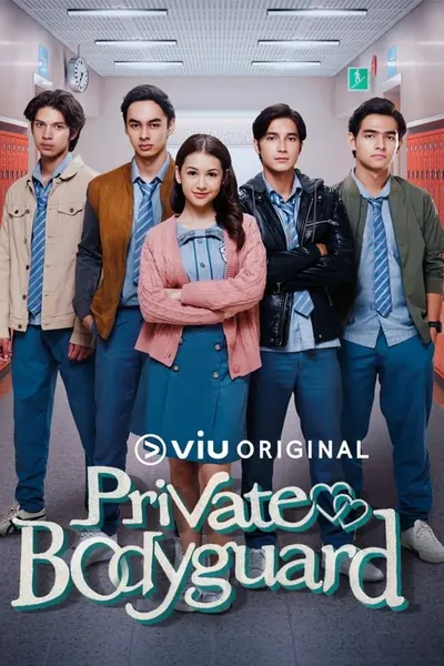Pôster da série Guarda costas Privado