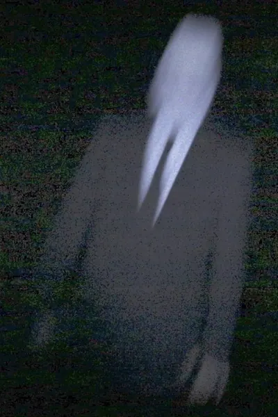 Pôster de Slender Man (2014)