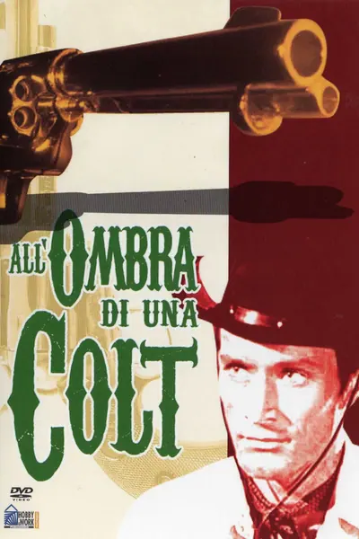 Pôster de A Sombra de um Revolver (1965)