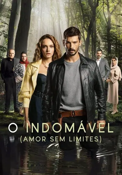 Pôster da série Amor Sem Limites
