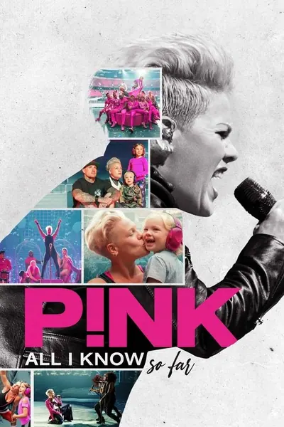P!NK: Tudo Que Aprendi Ate Agora