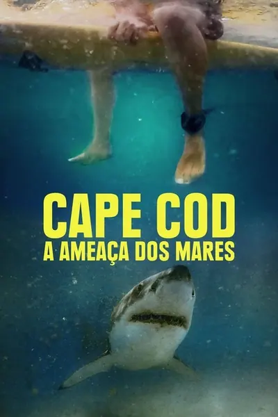 Pôster de Cape Cod A Ameaca dos Mares