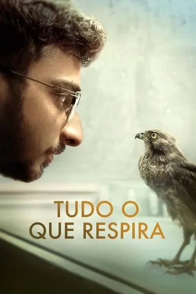 Pôster de Tudo O Que Respira
