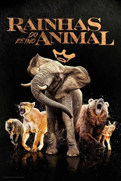 Pôster da série Rainhas do Reino Animal