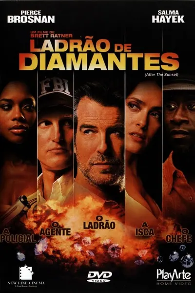 Ladrão de Diamantes (2004)