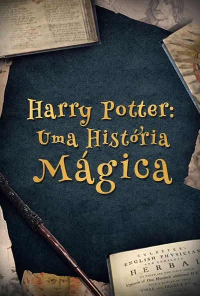 Pôster de Harry Potter Uma Historia Magica