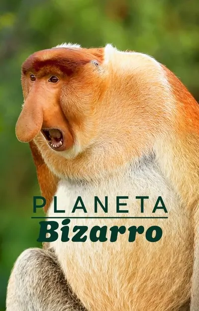Pôster da série Planeta Bizarro