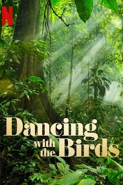 Dança dos Pássaros (2019)